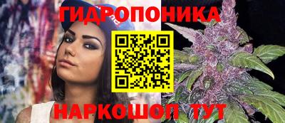мдпв Нальчик