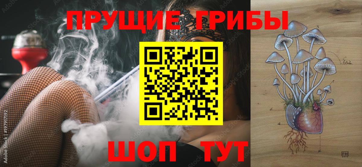 Тобольск  Псилоцибиновые грибы Psilocybine cubensis  Вход с VPN  Псилоцибиновые грибы GOLDEN TEACHER 