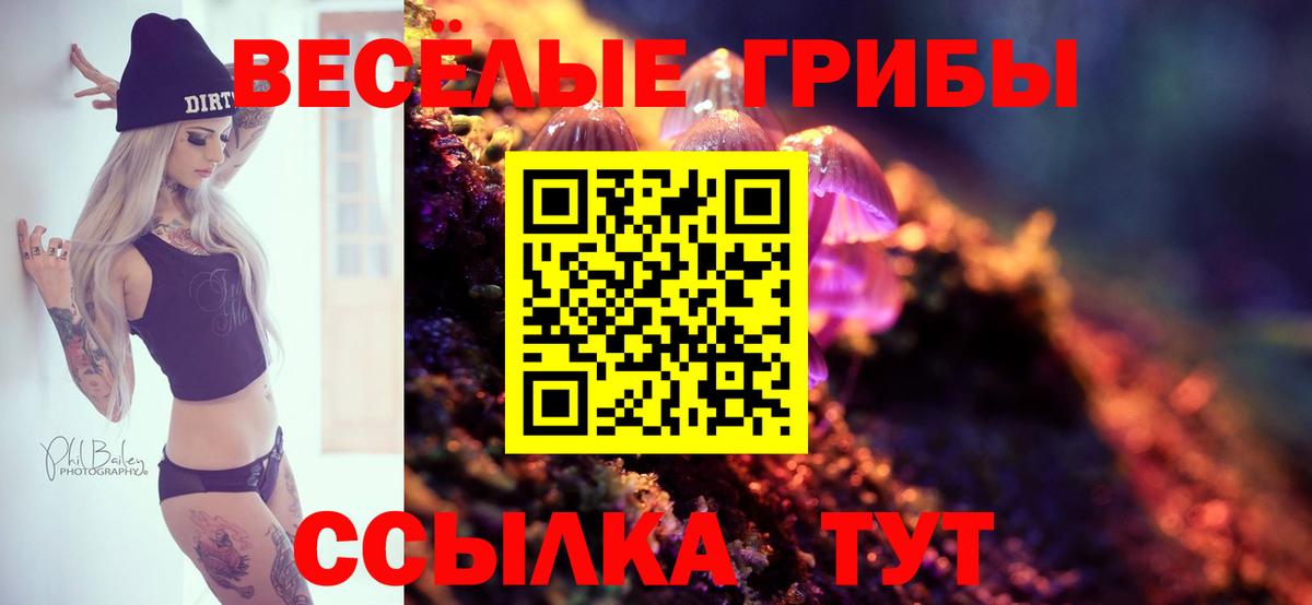 Галлюциногенные грибы мухоморы Тобольск